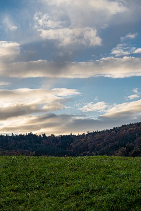 Hills and meadows near by the colorful forest stock images