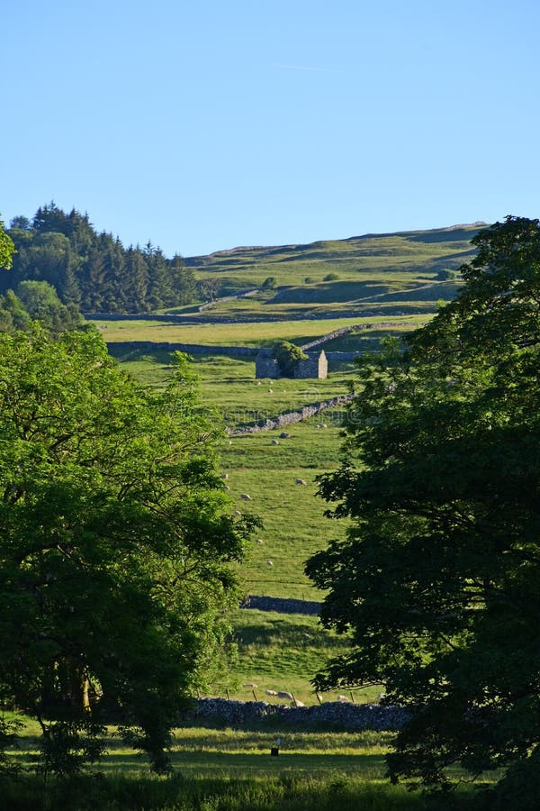 Hills near Conistone in Evening Sunlight, Wharfedale, Yorkshire Dales, England, UK