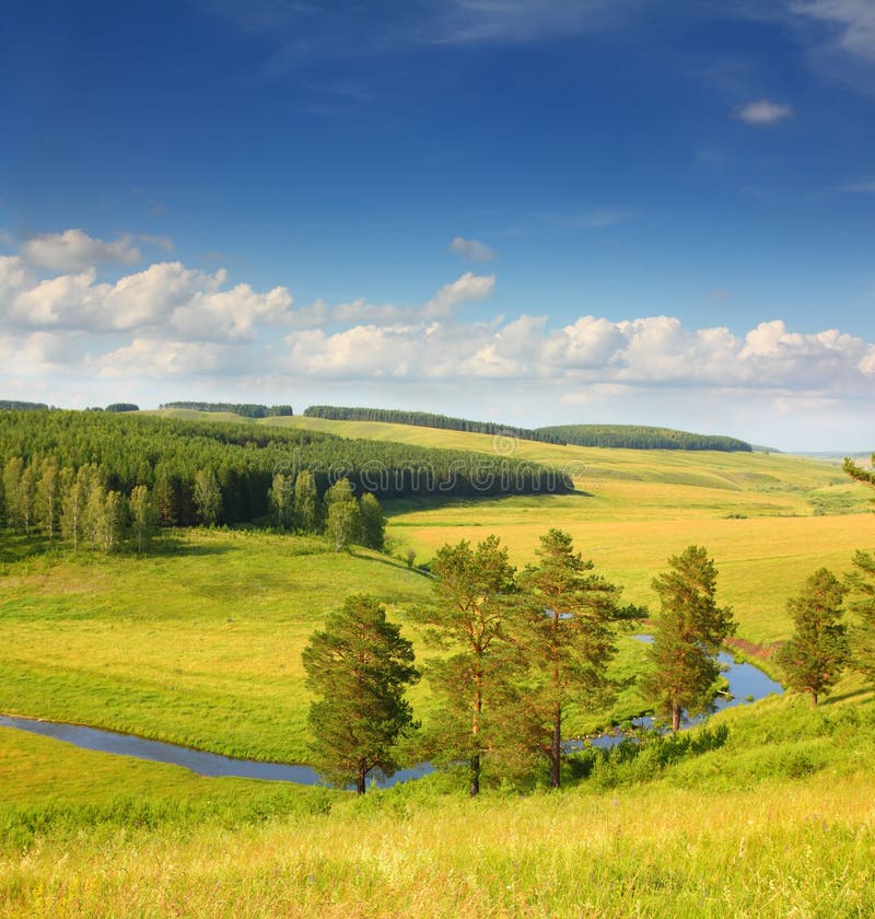 Hills summer landscape