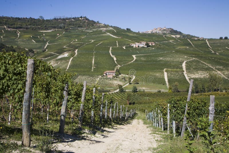 Hillside in Piemonte