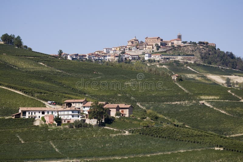 Hillside in Piemonte