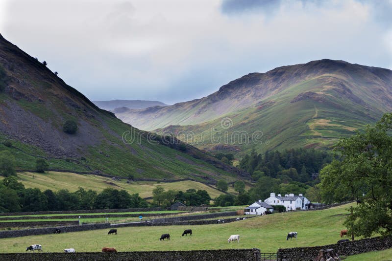 Hillside view in the English Lake District