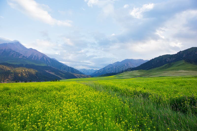 The hillside view of the Qilian mountains.