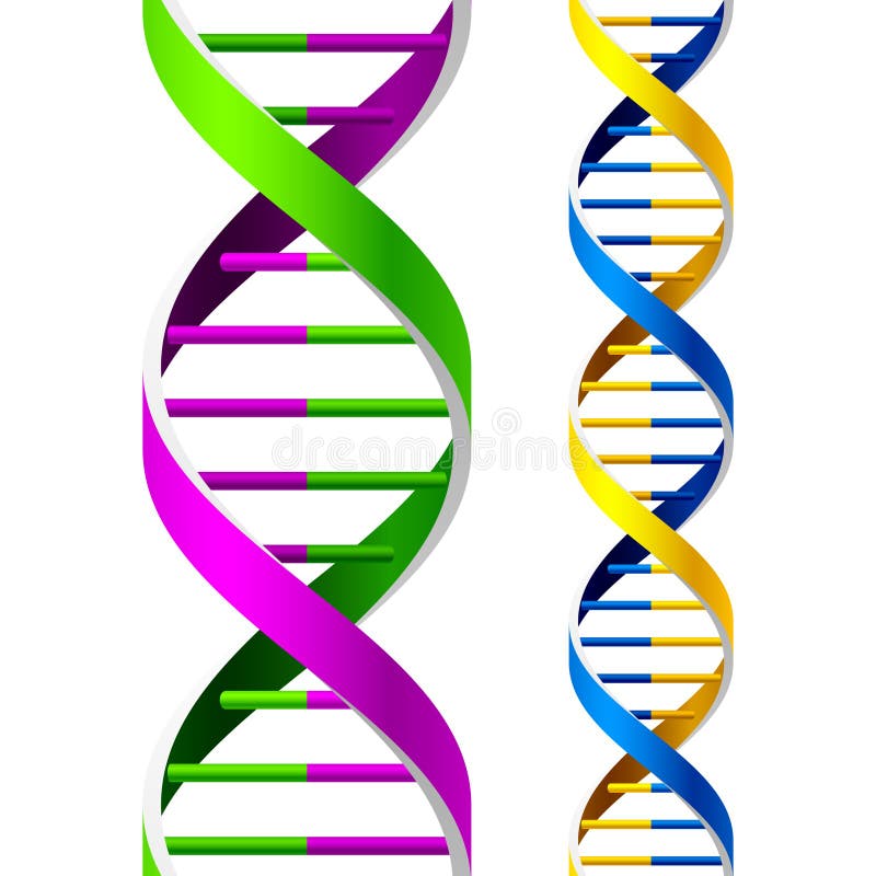 Hilos de la DNA del vector libre illustration Hilos de la DNA del vector libre illustration