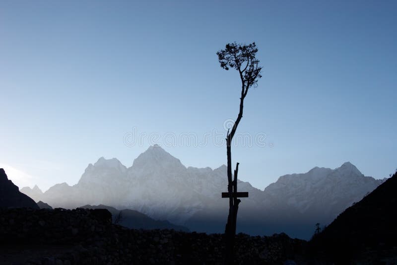 Himalajów samotny Nepal drzewo fotografia royalty free