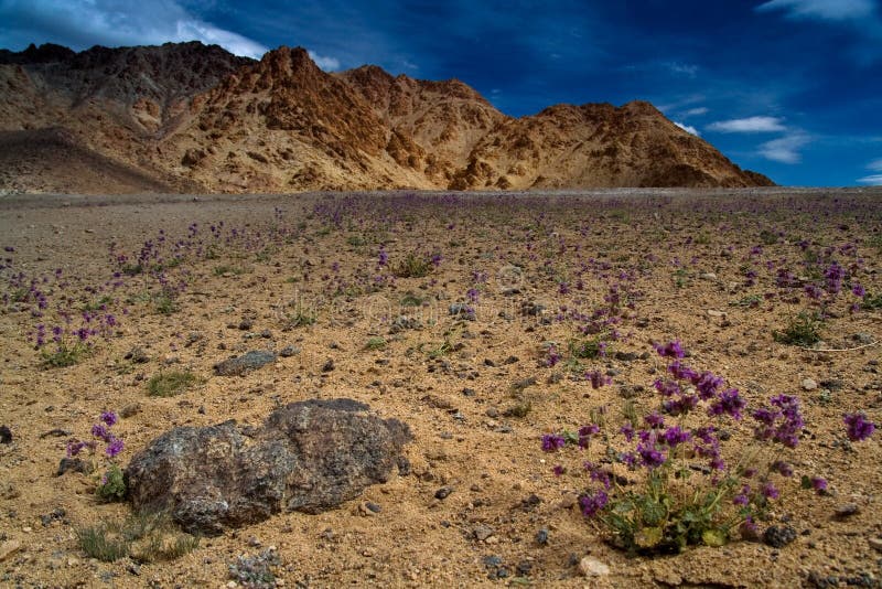 Himalaya stock photo