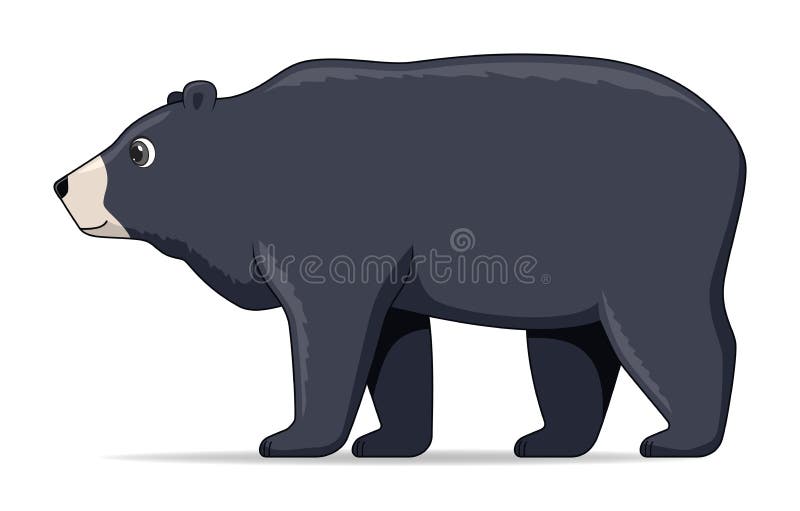 Asiatic Black Bear Standing Stock Illustrations – 7 Asiatic Black Bear  Standing Stock Illustrations, Vectors & Clipart - Dreamstime