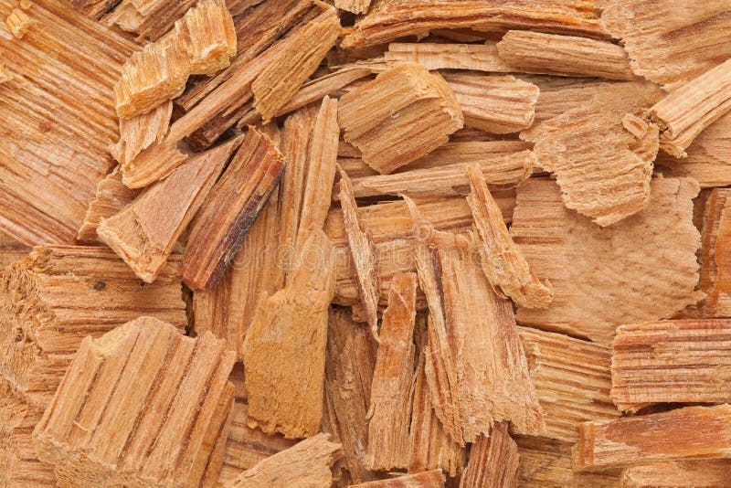 Himalayan cedar (Cedrus deodara) Chips. stock images