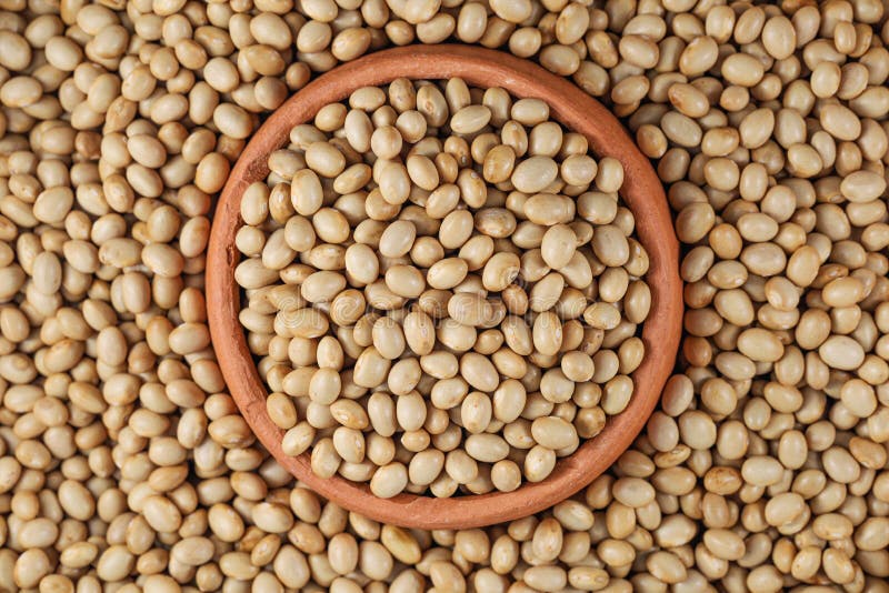 Himalayan Navy Beans Pearl Haricot Beans, White Rajma. Haricot Beans in Pottery Stock Photo