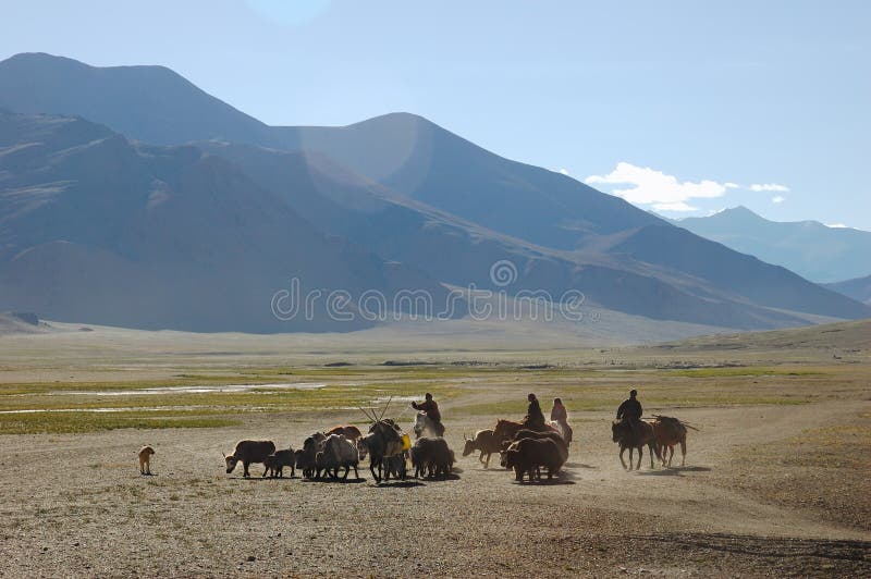 Himalayan nomads