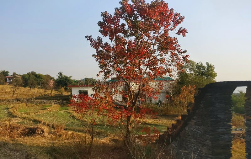 Himalayan Village scenic Autumn Beauty and cottage kangra India royalty free stock images Himalayan Village scenic Autumn Beauty and cottage kangra India royalty free stock images
