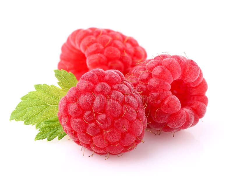 Himbeere mit Blatt lizenzfreies stockfoto Himbeere mit Blatt lizenzfreies stockfoto