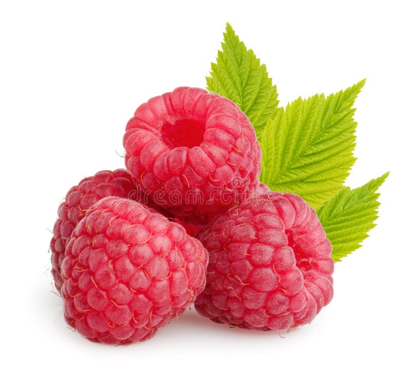 Himbeeren mit den Blättern getrennt stockfotografie Himbeeren mit den Blättern getrennt stockfotografie