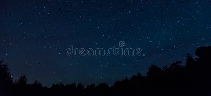 Himmel för stjärnklar natt med en skyttestjärna och en treeline i förgrunden