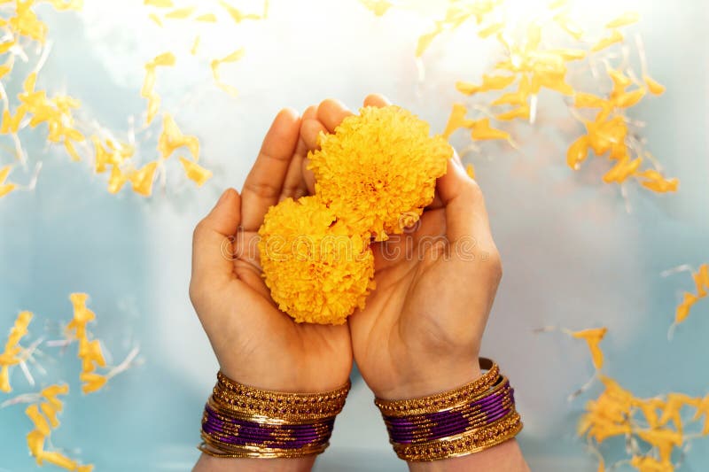 Hindu Ceremonies, Rituals, Spirituality, Religion and Hope Concept. Woman Holdings Marigold Flowers in Water , Respect and