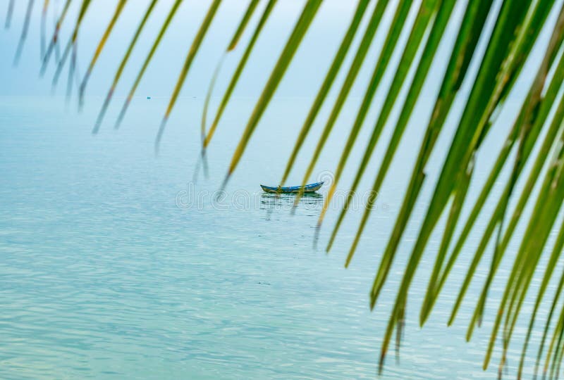 Hinter Palmblattboot im Meer stockfoto Hinter Palmblattboot im Meer stockfoto