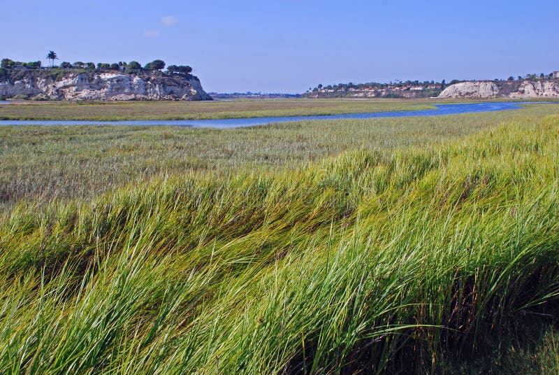 Hinteres Schacht-Sumpfgebiet an Newport-Strand Kalifornien.