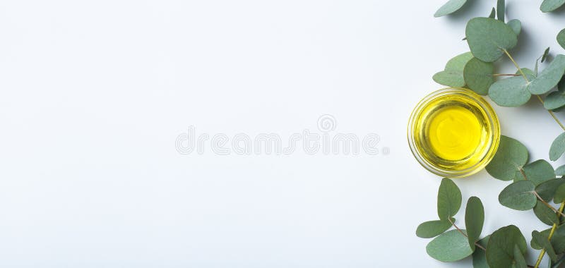 Hintergrund des Eukalyptusöls. Eukalyptusblätter und Öl als Basis für Kosmetik und Medizin lizenzfreies stockfoto