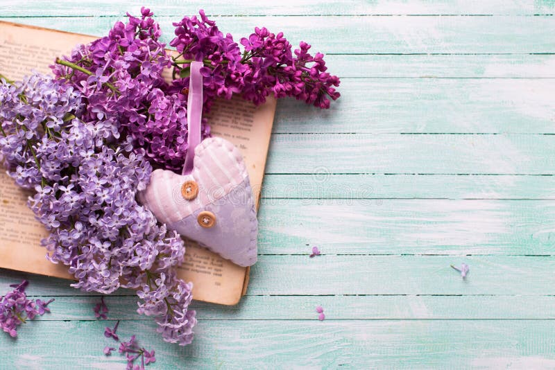 Hintergrund mit frischen lila Blumen auf offenem Weinlesebuch und -ihm stockfotos Hintergrund mit frischen lila Blumen auf offenem Weinlesebuch und -ihm stockfotos