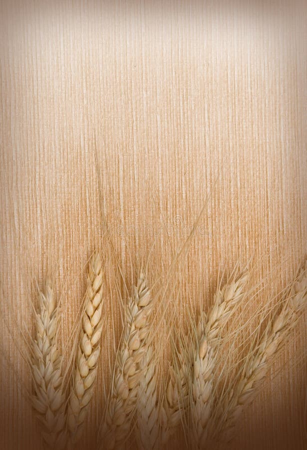 Background from wheat ears on a textile. Background from wheat ears on a textile