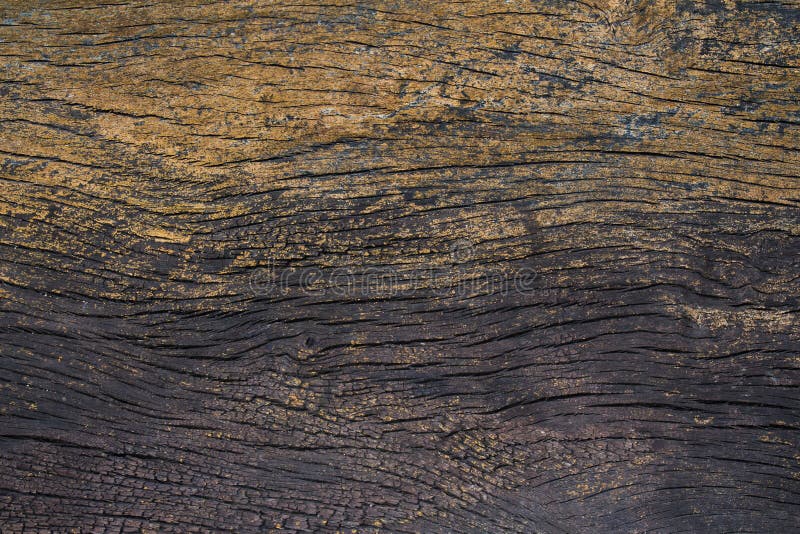 Hintergrund-Wandbeschaffenheit der alten schwarzen Goldbarke hölzerne stockbild Hintergrund-Wandbeschaffenheit der alten schwarzen Goldbarke hölzerne stockbild