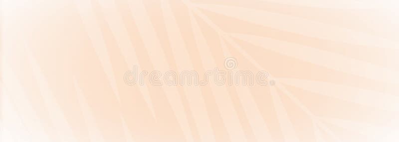 Backdrop illustration with palm leaves and peach color. Backdrop illustration with palm leaves and peach color.