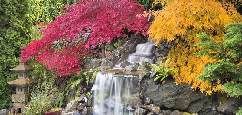 Hinterhof-Wasserfall mit japanisches Ahornholz-Baum-Fall