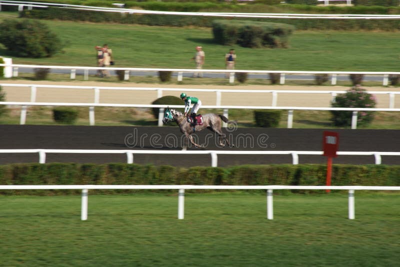 Corrida no Hipódromo – Só Jogo