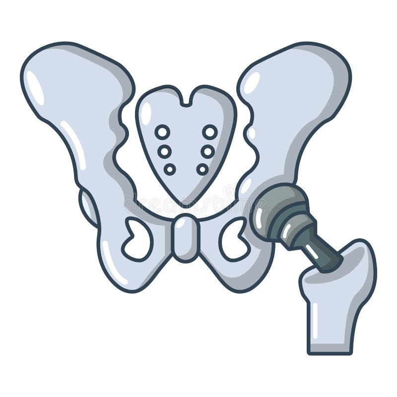 Hip Bone Cartoon Stock Illustrations – 544 Hip Bone Cartoon Stock  Illustrations, Vectors & Clipart - Dreamstime