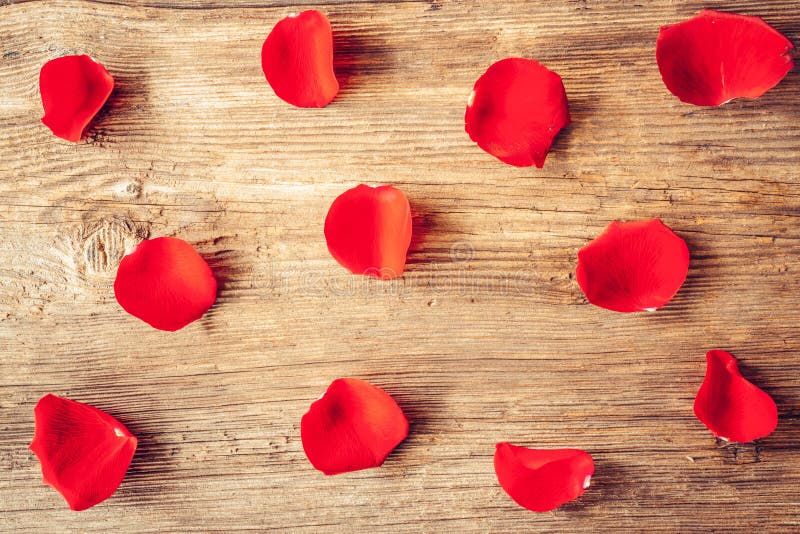A hipe of scarlet rose petals for Valentine`s day ornaments concept with wooden background. Love and romance concept. royalty free stock photo A hipe of scarlet rose petals for Valentine`s day ornaments concept with wooden background. Love and romance concept. royalty free stock photo