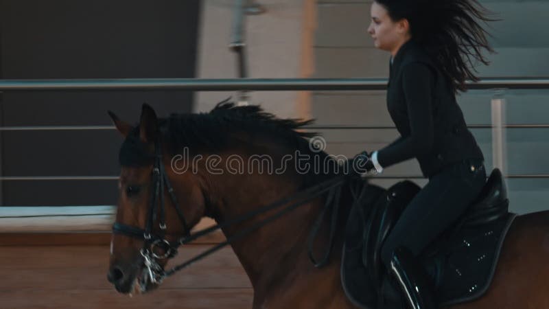 Mulher-cavalo Cavalgando a Cavalo Marrom E Pulando a Cerca Na Arena De  Sandy Parkour Salto De Treinamento Competitivo Filme - Vídeo de cantor,  mostra: 160093714