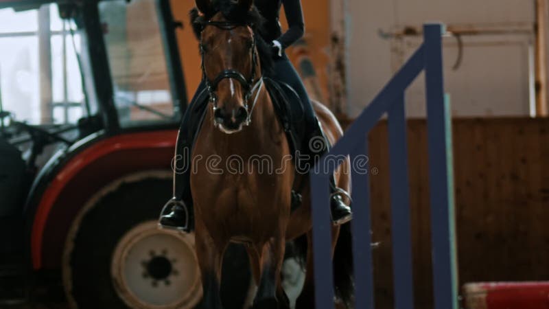 Mulher Cavaleira Cavalgando a Cavalo Marrom E Pulando a Cerca Na Arena De Sandy Parkour Aperfeiçoamento Profissional Competitivo Imagem de Stock - Imagem de fêmea, marrom: 165294797