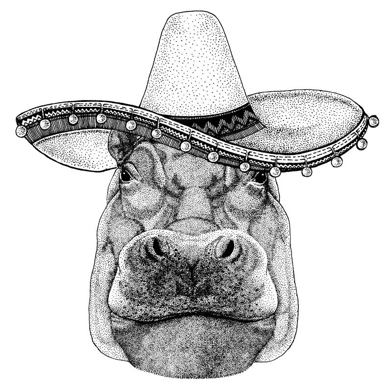 Hipopótamo, hipopótamo, gigante, rio-cavalo que veste o chapéu mexicano tradicional Mantilha clássica, festa, partido ilustração do vetor Hipopótamo, hipopótamo, gigante, rio-cavalo que veste o chapéu mexicano tradicional Mantilha clássica, festa, partido ilustração do vetor