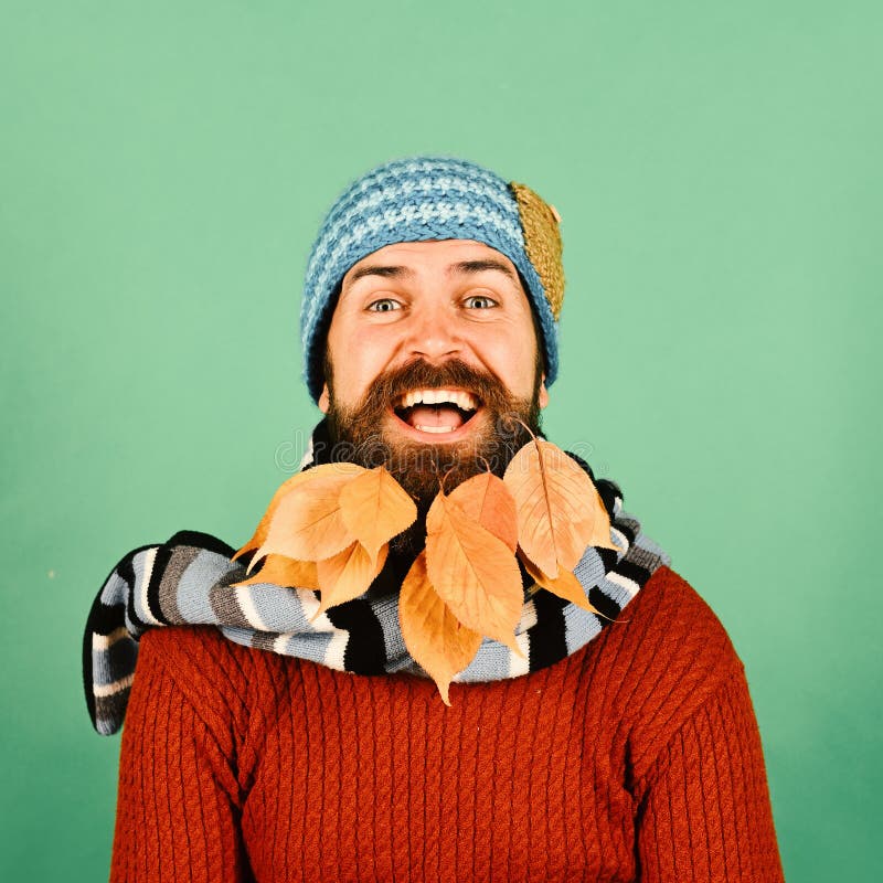 Hippie avec le visage heureux et barbe complètement des feuilles d'automne Type au raseur-coiffeur ou coiffeur Mode et beauté flo photos stock Hippie avec le visage heureux et barbe complètement des feuilles d'automne Type au raseur-coiffeur ou coiffeur Mode et beauté flo photos stock