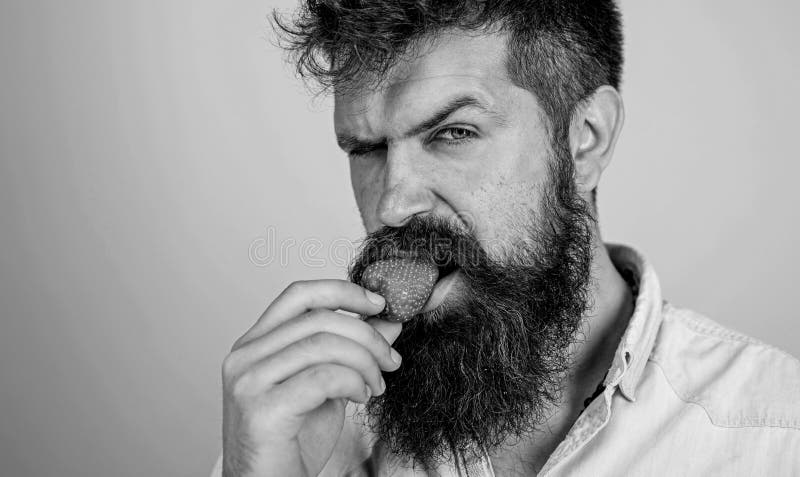 Hippie sexy de visage strict beau d'homme avec la longue fraise d'essai de barbe Le hippie appr?cient la fraise rouge m?re juteus photos libres de droits Hippie sexy de visage strict beau d'homme avec la longue fraise d'essai de barbe Le hippie appr?cient la fraise rouge m?re juteus photos libres de droits