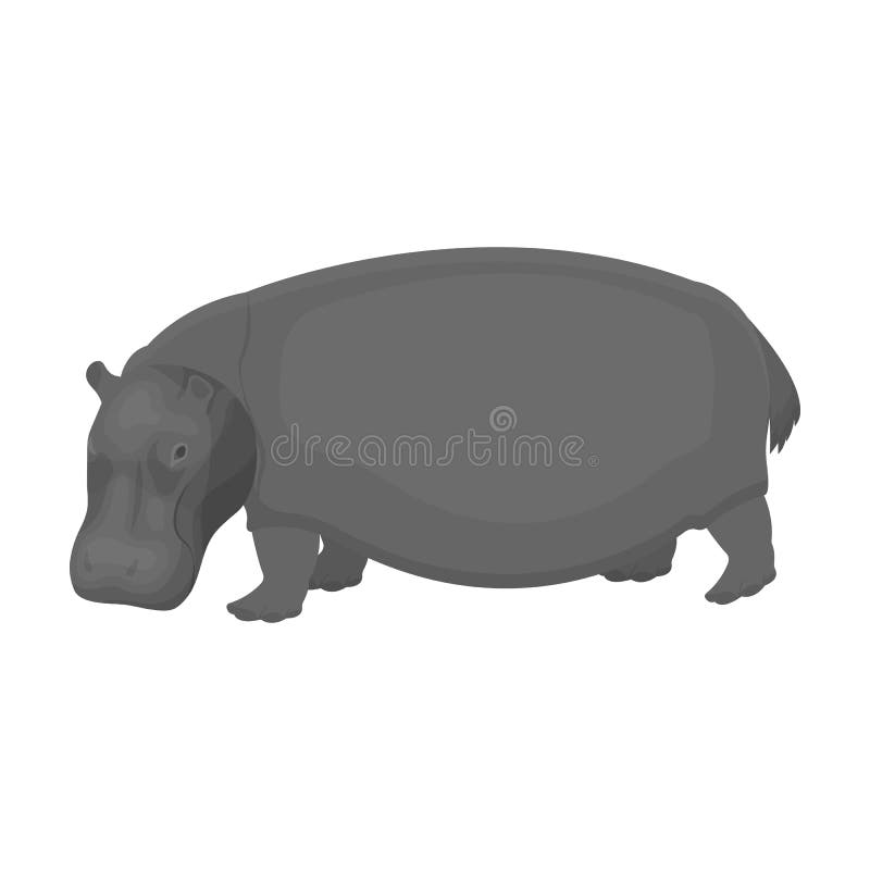 Omnivorous Animal Stock Illustrations – 918 Omnivorous Animal Stock  Illustrations, Vectors & Clipart - Dreamstime