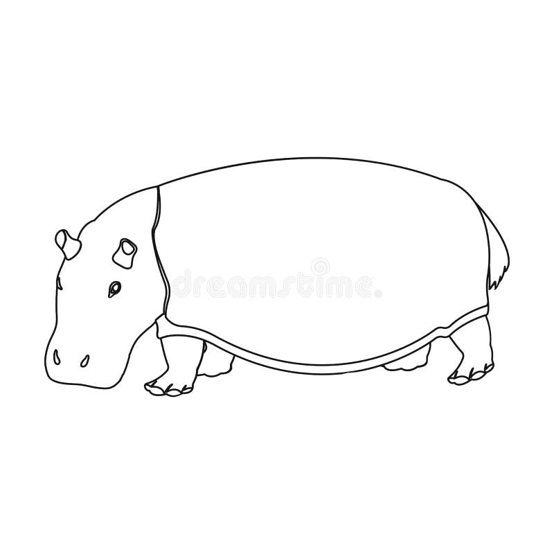 Omnivorous Animal Stock Illustrations – 920 Omnivorous Animal Stock  Illustrations, Vectors & Clipart - Dreamstime