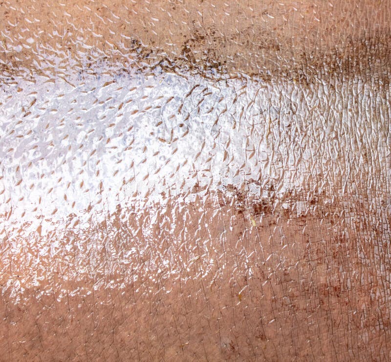 Hippopotamushaut als abstrakter Hintergrund. Textur stockfotografie