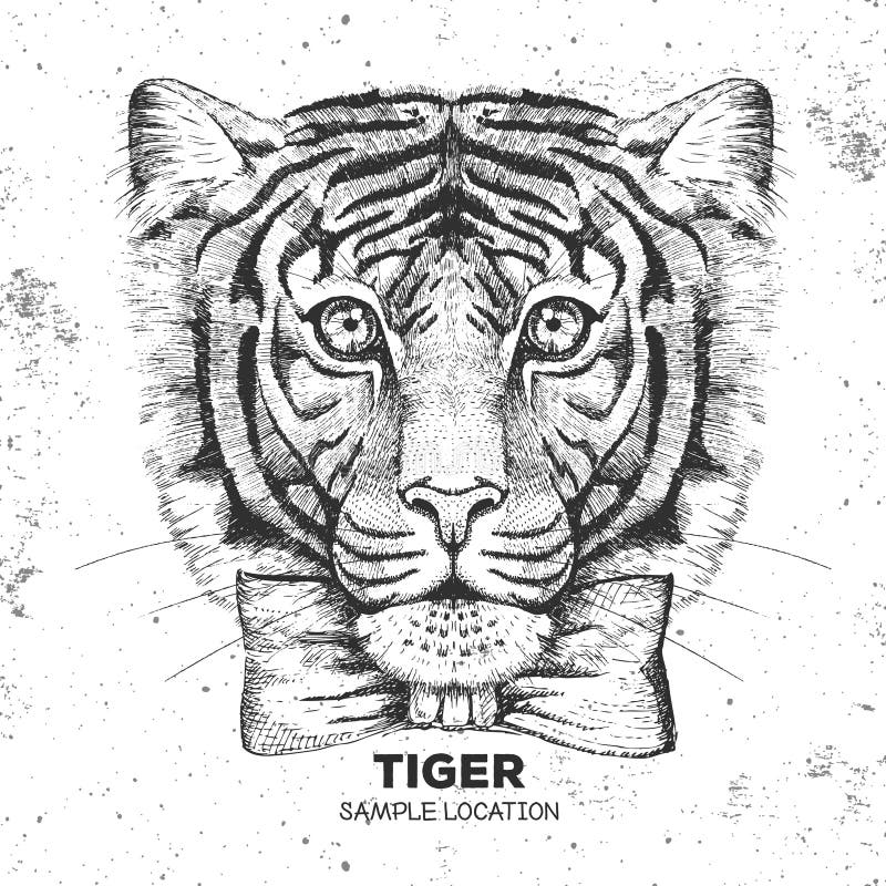 Hipster animal tiger. Hand drawing Muzzle of tiger vector illustration