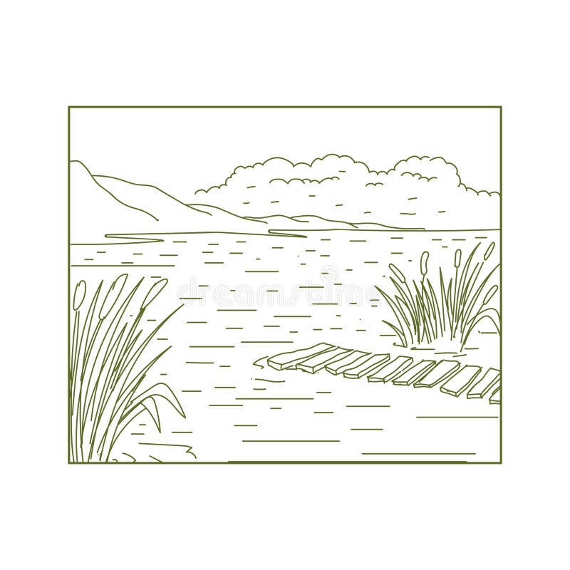 Outline Swamp Landscape Stock Illustrations – 264 Outline Swamp