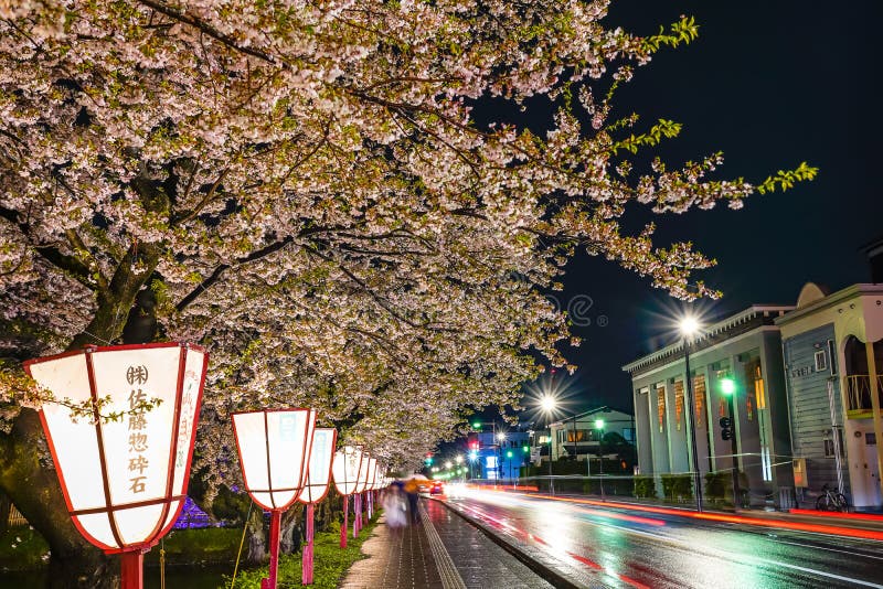 Hirosaki City Street View Light Up at Night in Springtime Cherry ...