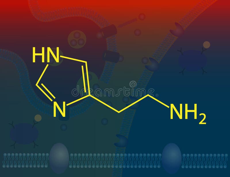 Histamine Molecular Pathways Stock Illustration Illustration of