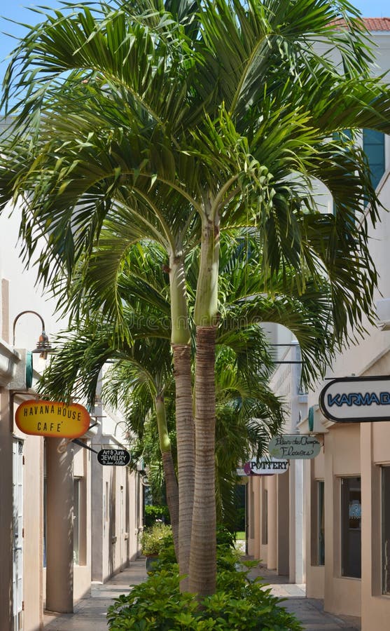 Historic Downtown Melbourne Editorial Stock Photo Image of city, brevard 42921118