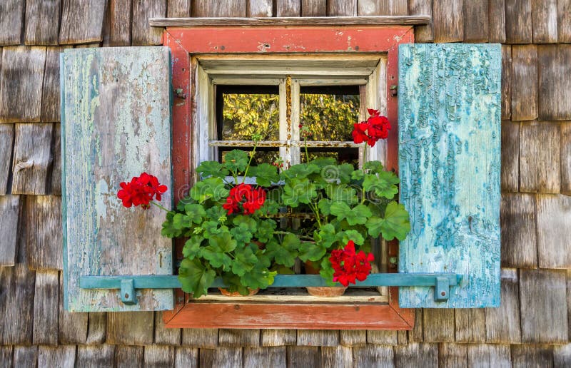 Historic farmhouse window with red geraniums.