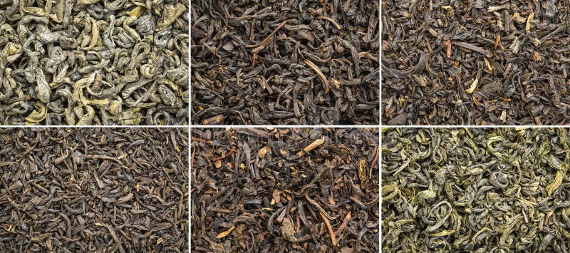 Six historical loose leaf black bohea, oolong, souchong, congou and green hyson, singlo tea collection, the same type thrown over during the Boston Tea Party in 1773. Six historical loose leaf black bohea, oolong, souchong, congou and green hyson, singlo tea collection, the same type thrown over during the Boston Tea Party in 1773.