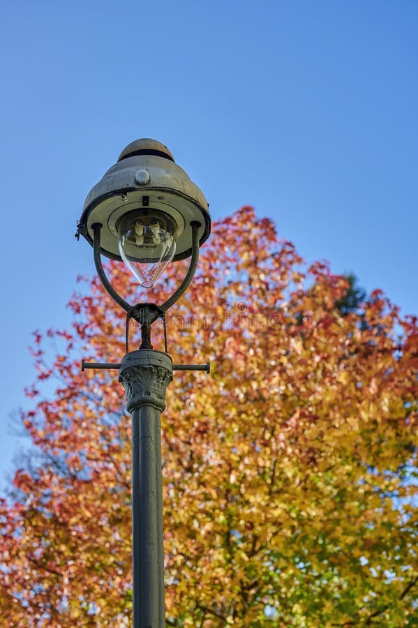 historical-gas-lantern-in-berlin-in-front-of-a-sunlit-tree-with-autumn