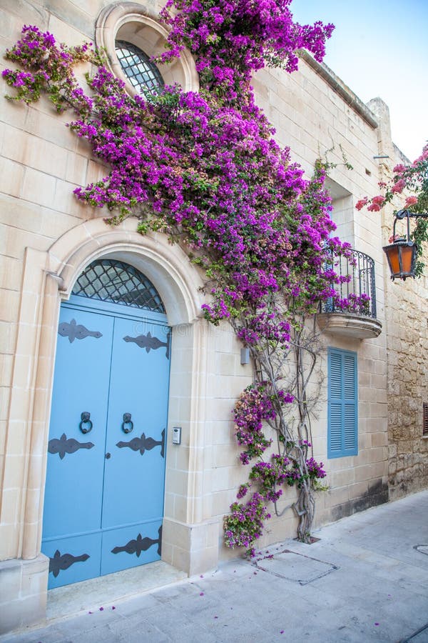 Historical Town Mdina, Malta Stock Photo - Image of arch, tree: 57552844