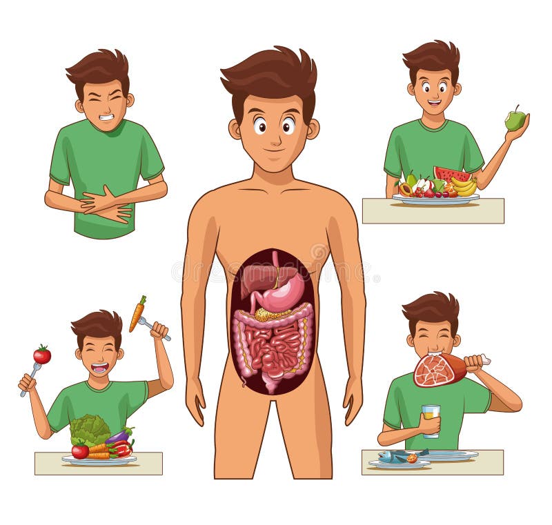 Historieta Del Sistema Digestivo Ilustración del Vector - Ilustración de  enfermedad, carne: 121621164