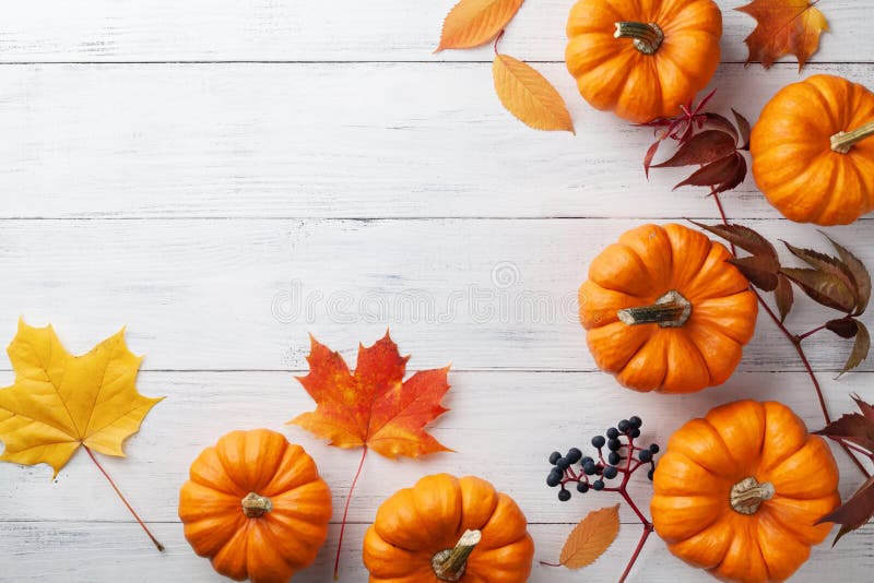 Historique de Thanksgiving d'automne citrouilles et feuilles sur la table blanche vue supérieure image stock Historique de Thanksgiving d'automne citrouilles et feuilles sur la table blanche vue supérieure image stock