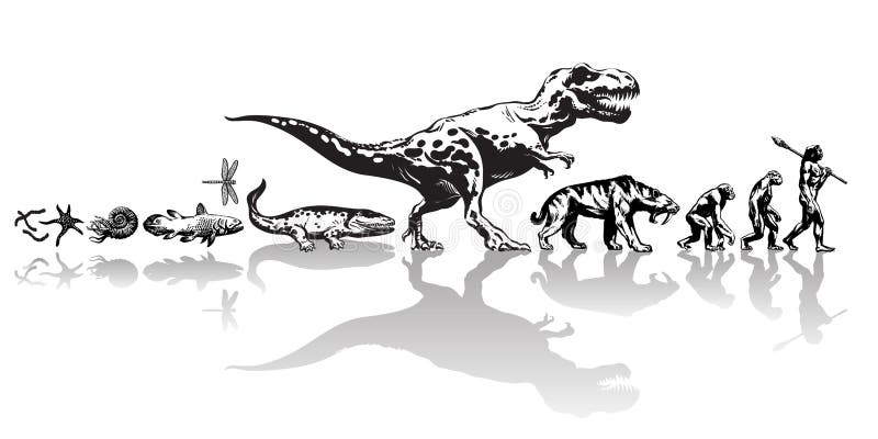 History of Life on Earth. Timeline of Evolution from Prehistoric Animals, Dinosaur, Saber Toothed Tiger, Monkey To Cave Stock Vector - Illustration of graphic, history: 144219928 History of Life on Earth. Timeline of Evolution from Prehistoric Animals, Dinosaur, Saber Toothed Tiger, Monkey To Cave Stock Vector - Illustration of graphic, history: 144219928
